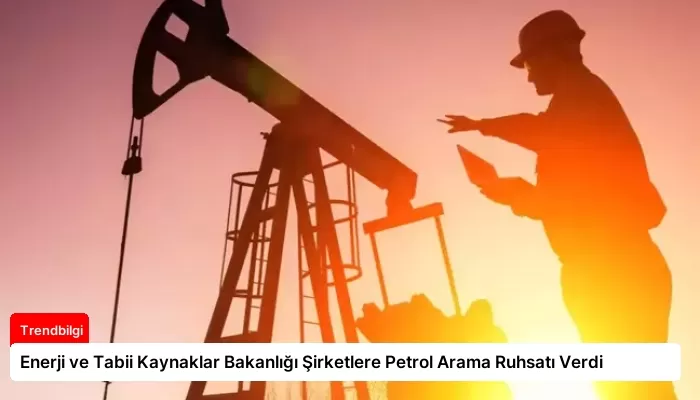 Enerji ve Tabii Kaynaklar Bakanlığı Şirketlere Petrol Arama Ruhsatı Verdi