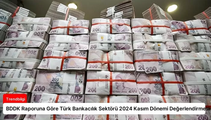 BDDK Raporuna Göre Türk Bankacılık Sektörü 2024 Kasım Dönemi Değerlendirmesi