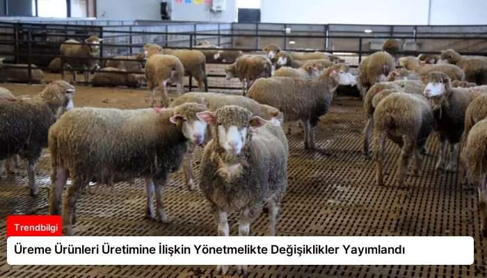 Üreme Ürünleri Üretimine İlişkin Yönetmelikte Değişiklikler Yayımlandı