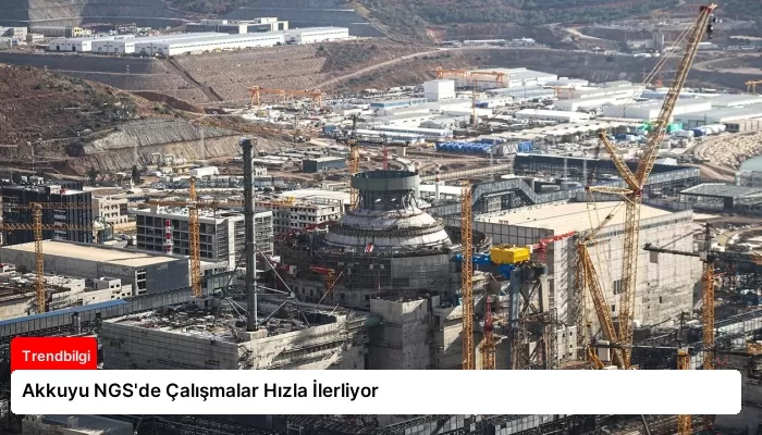 Akkuyu NGS’de Çalışmalar Hızla İlerliyor