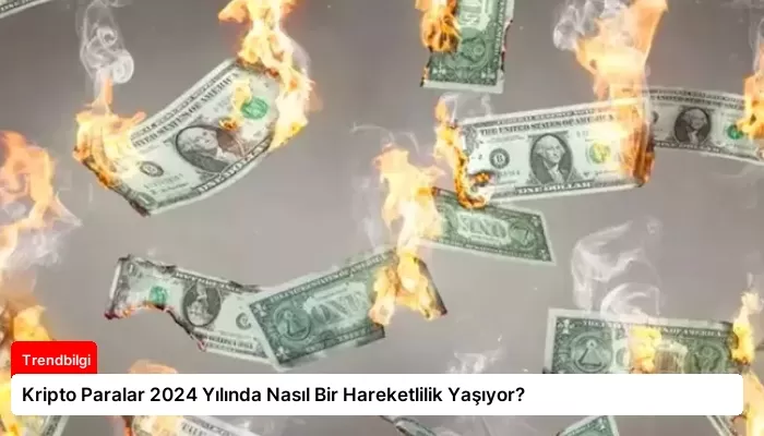 Kripto Paralar 2024 Yılında Nasıl Bir Hareketlilik Yaşıyor?