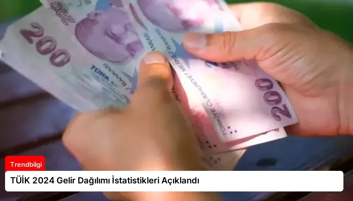 TÜİK 2024 Gelir Dağılımı İstatistikleri Açıklandı