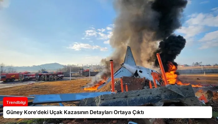 Güney Kore’deki Uçak Kazasının Detayları Ortaya Çıktı