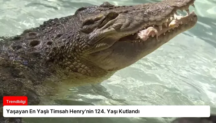 Yaşayan En Yaşlı Timsah Henry’nin 124. Yaşı Kutlandı