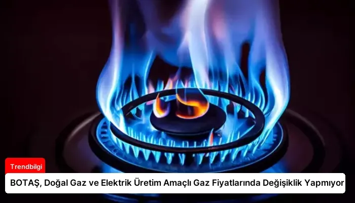 BOTAŞ, Doğal Gaz ve Elektrik Üretim Amaçlı Gaz Fiyatlarında Değişiklik Yapmıyor