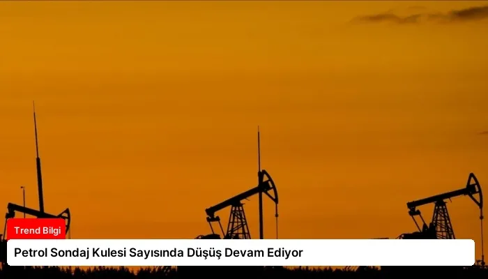 Petrol Sondaj Kulesi Sayısında Düşüş Devam Ediyor