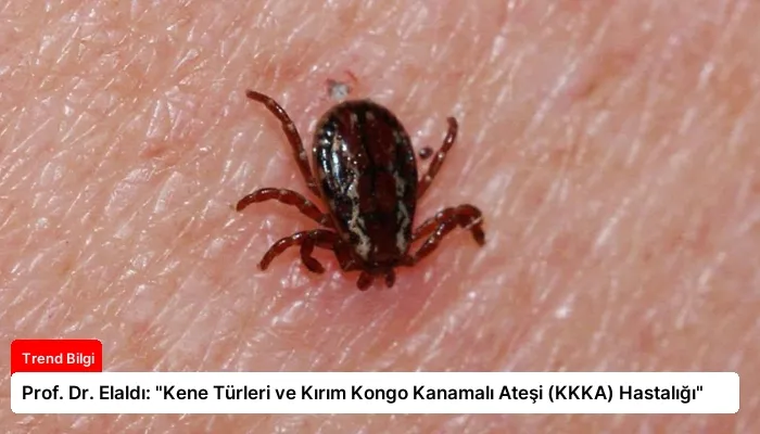 Prof. Dr. Elaldı: “Kene Türleri ve Kırım Kongo Kanamalı Ateşi (KKKA) Hastalığı”