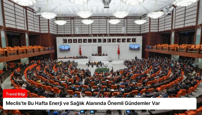 Meclis’te Bu Hafta Enerji ve Sağlık Alanında Önemli Gündemler Var