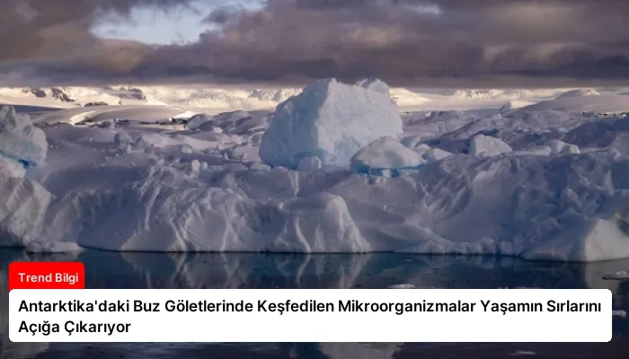 Antarktika’daki Buz Göletlerinde Keşfedilen Mikroorganizmalar Yaşamın Sırlarını Açığa Çıkarıyor