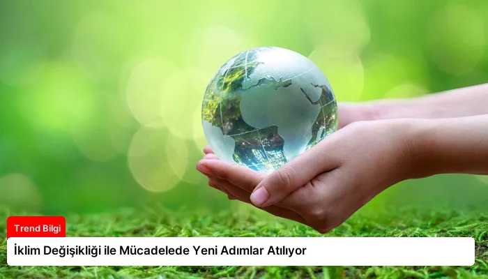 İklim Değişikliği ile Mücadelede Yeni Adımlar Atılıyor