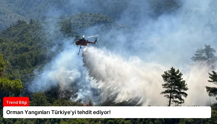 Orman Yangınları Türkiye’yi tehdit ediyor!