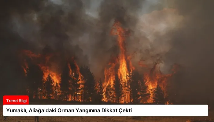 Yumaklı, Aliağa’daki Orman Yangınına Dikkat Çekti