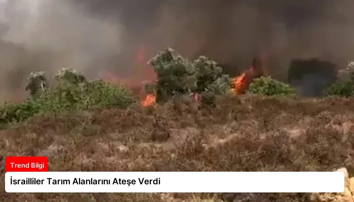 İsrailliler Tarım Alanlarını Ateşe Verdi