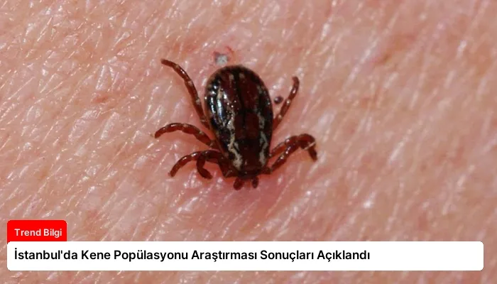 İstanbul’da Kene Popülasyonu Araştırması Sonuçları Açıklandı