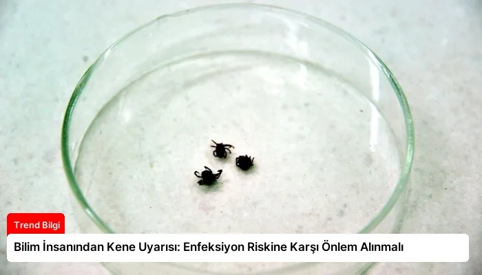 Bilim İnsanından Kene Uyarısı: Enfeksiyon Riskine Karşı Önlem Alınmalı