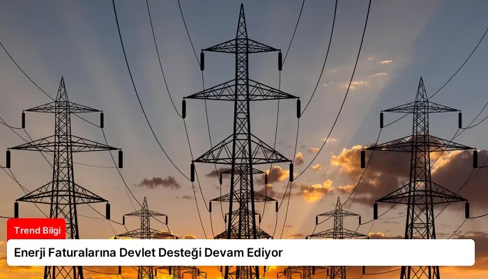 Enerji Faturalarına Devlet Desteği Devam Ediyor