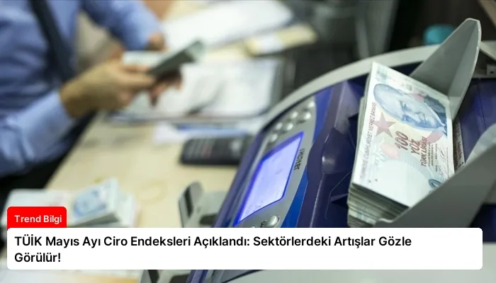 TÜİK Mayıs Ayı Ciro Endeksleri Açıklandı: Sektörlerdeki Artışlar Gözle Görülür!