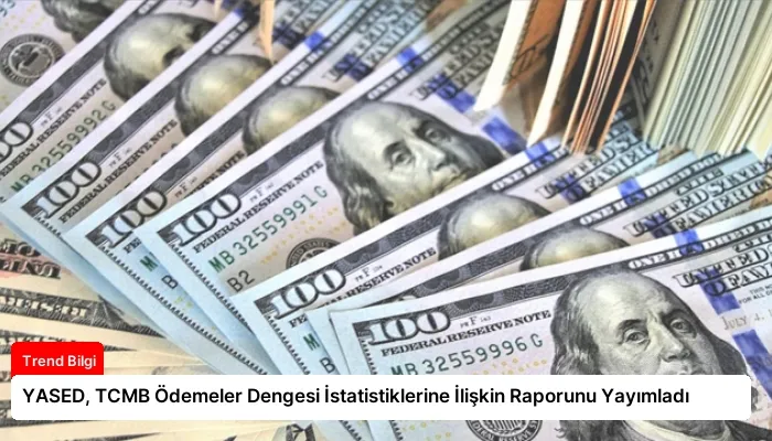 YASED, TCMB Ödemeler Dengesi İstatistiklerine İlişkin Raporunu Yayımladı