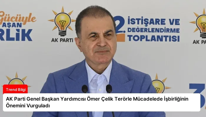 AK Parti Genel Başkan Yardımcısı Ömer Çelik Terörle Mücadelede İşbirliğinin Önemini Vurguladı