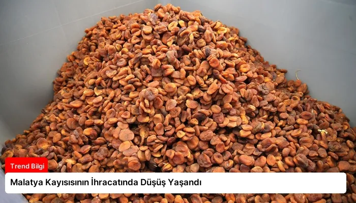 Malatya Kayısısının İhracatında Düşüş Yaşandı