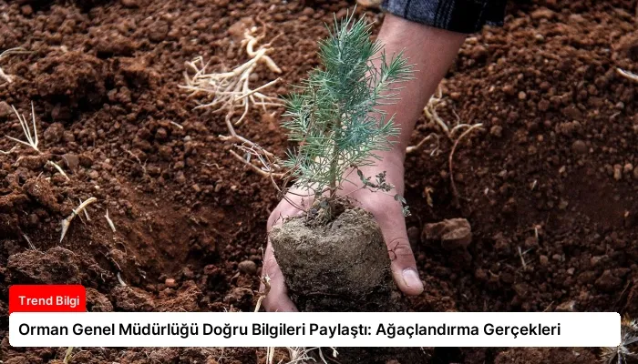 Orman Genel Müdürlüğü Doğru Bilgileri Paylaştı: Ağaçlandırma Gerçekleri