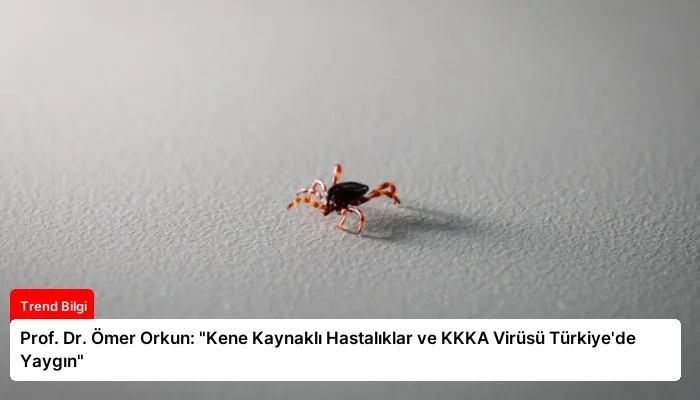 Prof. Dr. Ömer Orkun: “Kene Kaynaklı Hastalıklar ve KKKA Virüsü Türkiye’de Yaygın”