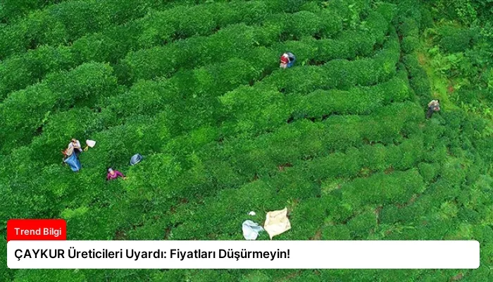 ÇAYKUR Üreticileri Uyardı: Fiyatları Düşürmeyin!