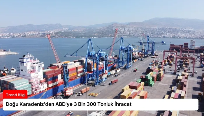 Doğu Karadeniz’den ABD’ye 3 Bin 300 Tonluk İhracat