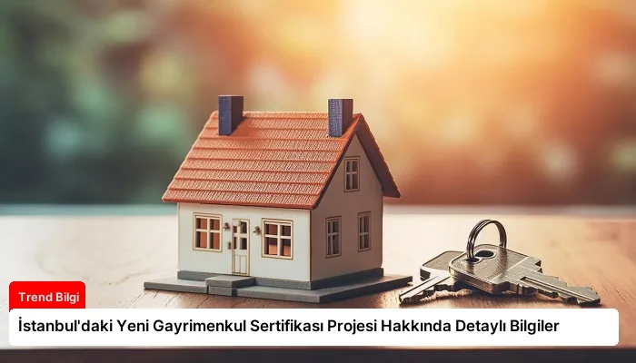 İstanbul’daki Yeni Gayrimenkul Sertifikası Projesi Hakkında Detaylı Bilgiler