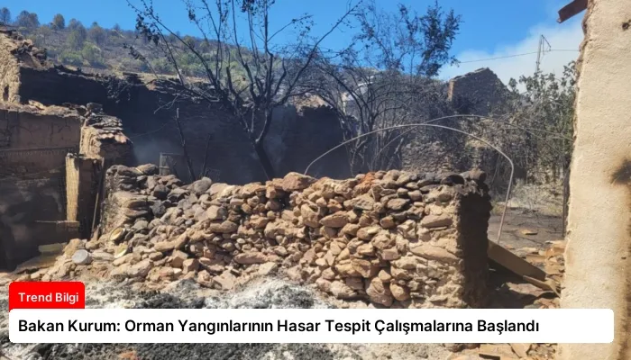 Bakan Kurum: Orman Yangınlarının Hasar Tespit Çalışmalarına Başlandı