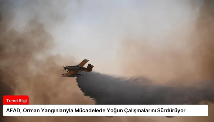 AFAD, Orman Yangınlarıyla Mücadelede Yoğun Çalışmalarını Sürdürüyor