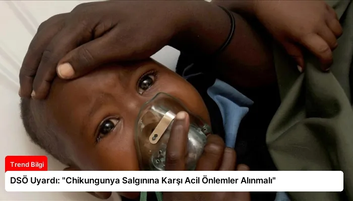 DSÖ Uyardı: “Chikungunya Salgınına Karşı Acil Önlemler Alınmalı”