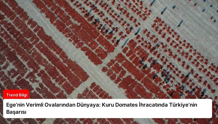 Ege’nin Verimli Ovalarından Dünyaya: Kuru Domates İhracatında Türkiye’nin Başarısı