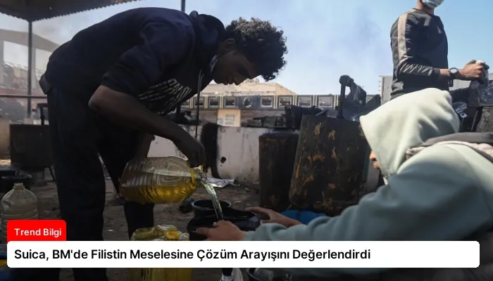 Suica, BM’de Filistin Meselesine Çözüm Arayışını Değerlendirdi