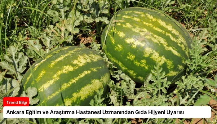 Ankara Eğitim ve Araştırma Hastanesi Uzmanından Gıda Hijyeni Uyarısı
