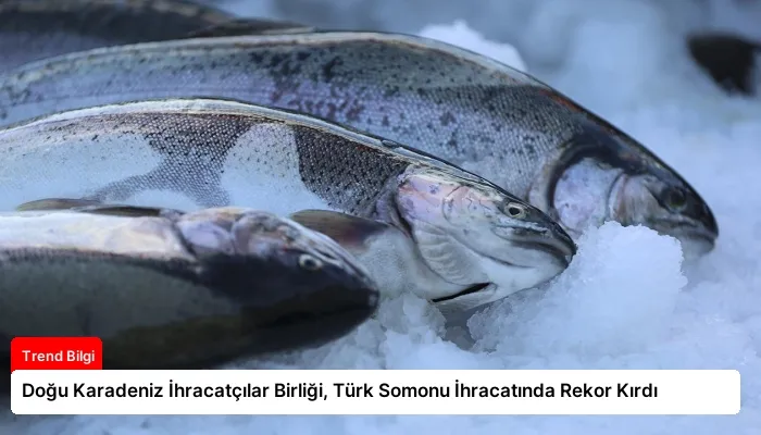 Doğu Karadeniz İhracatçılar Birliği, Türk Somonu İhracatında Rekor Kırdı