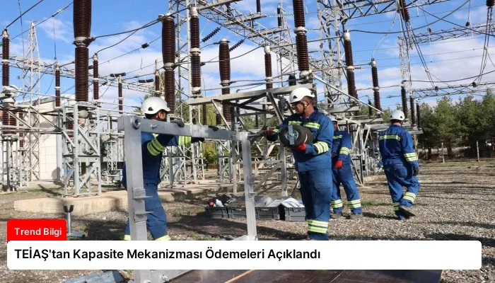 TEİAŞ’tan Kapasite Mekanizması Ödemeleri Açıklandı