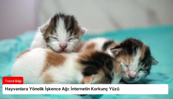 Hayvanlara Yönelik İşkence Ağı: İnternetin Korkunç Yüzü