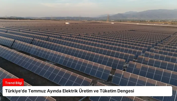 Türkiye’de Temmuz Ayında Elektrik Üretim ve Tüketim Dengesi
