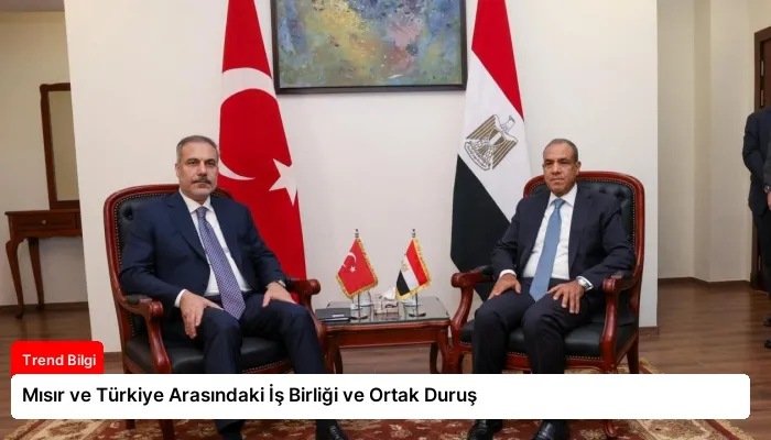 Mısır ve Türkiye Arasındaki İş Birliği ve Ortak Duruş