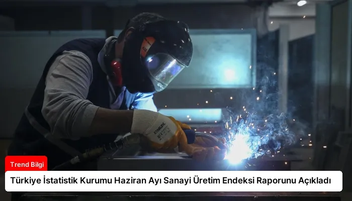 Türkiye İstatistik Kurumu Haziran Ayı Sanayi Üretim Endeksi Raporunu Açıkladı