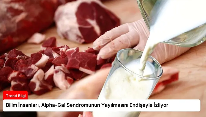 Bilim İnsanları, Alpha-Gal Sendromunun Yayılmasını Endişeyle İzliyor
