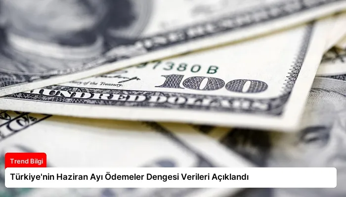 Türkiye’nin Haziran Ayı Ödemeler Dengesi Verileri Açıklandı