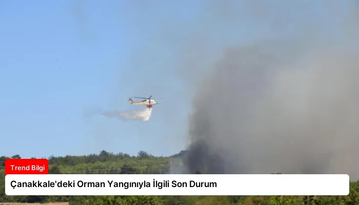 Çanakkale’deki Orman Yangınıyla İlgili Son Durum