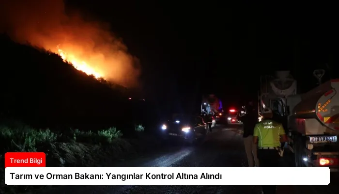 Tarım ve Orman Bakanı: Yangınlar Kontrol Altına Alındı