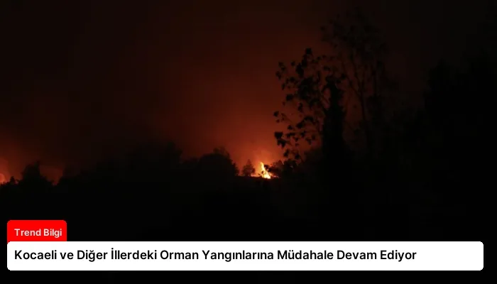 Kocaeli ve Diğer İllerdeki Orman Yangınlarına Müdahale Devam Ediyor