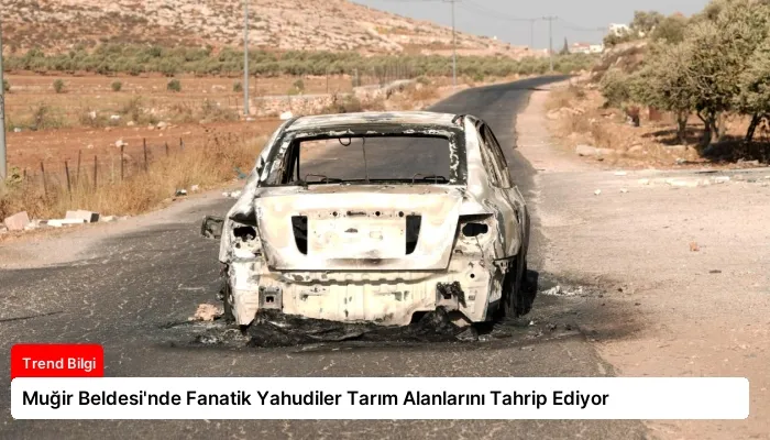 Muğir Beldesi’nde Fanatik Yahudiler Tarım Alanlarını Tahrip Ediyor