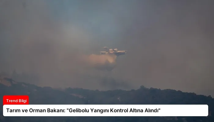 Tarım ve Orman Bakanı: “Gelibolu Yangını Kontrol Altına Alındı”