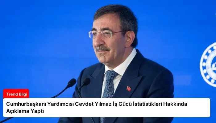 Cumhurbaşkanı Yardımcısı Cevdet Yılmaz İş Gücü İstatistikleri Hakkında Açıklama Yaptı