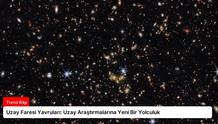 Uzay Faresi Yavruları: Uzay Araştırmalarına Yeni Bir Yolculuk